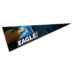 Custom 5" x 12" Pennant Custom 5" x 12" Pennant