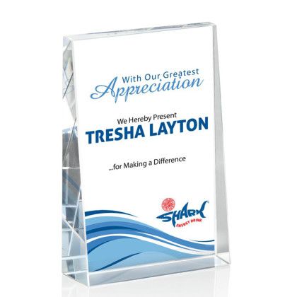 Custom Full Color Award - Tweed (V) 3" x 4"