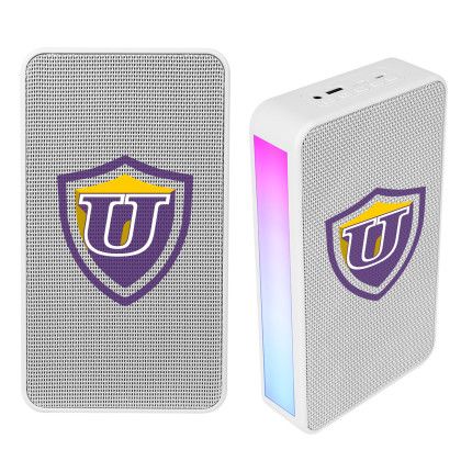 Custom Wireless Wall Mount Speaker Set Custom Wireless Wall Mount Speaker Set