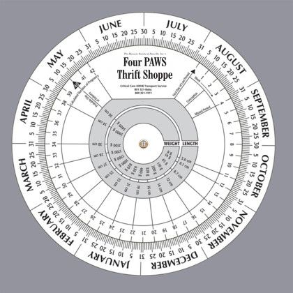 Custom Pregnancy Wheel Custom Pregnancy Wheel