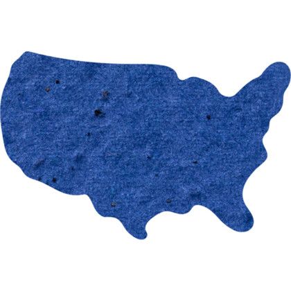 Custom Plantable Pin - Royal blue USA