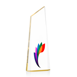 Custom Full Color Award - Hudson/Gold 9" Custom Full Color Award - Hudson/Gold 9"