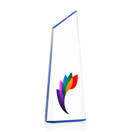 Custom Full Color Award - Hudson/Blue 9" Custom Full Color Award - Hudson/Blue 9"