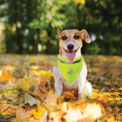 Custom Logo Reflective Pet Bandana Custom Logo Reflective Pet Bandana