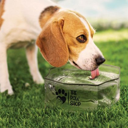 Custom Printed Collapsible Pet Bowl Custom Printed Collapsible Pet Bowl