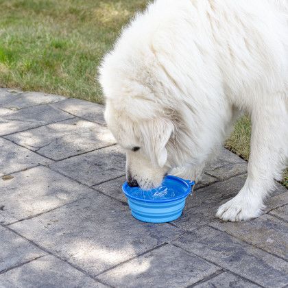 Custom Large Collapsible Silicone Pet Bowl