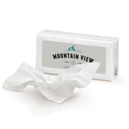 Custom 10 Mini Facial Tissues - White