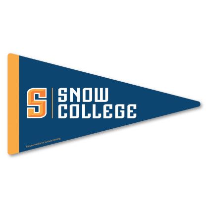 Custom Pennant Car Sign Magnet 7.125 x 3.75