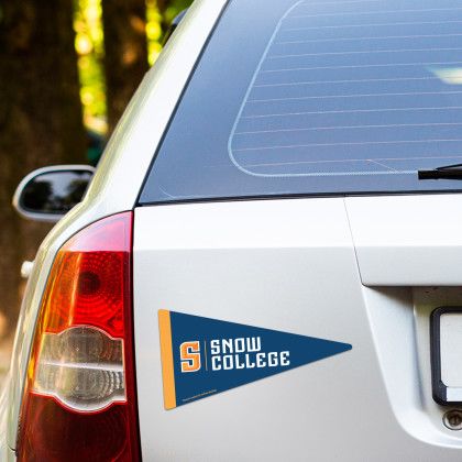 Custom Pennant Car Sign Magnet 7.125 x 3.75 - In Use 