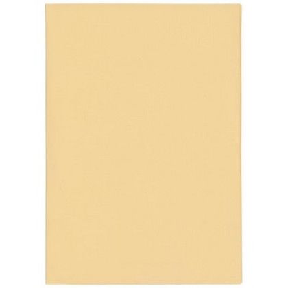 Custom 7 x 10 Standard Vinyl Cover Academic Planner - Bone White