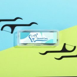 Custom Flossie Charcoal Dental Floss Picks Custom Flossie Charcoal Dental Floss Picks
