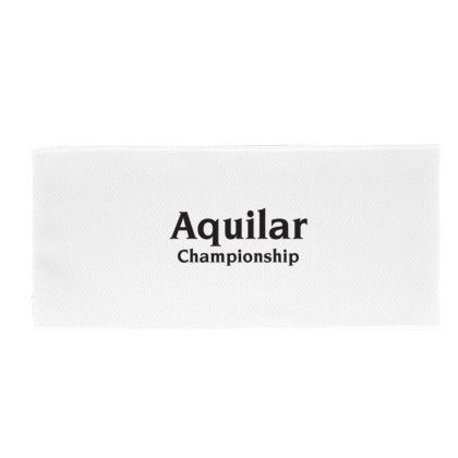 Custom Imprinted 100% RPET Cooling headband - White