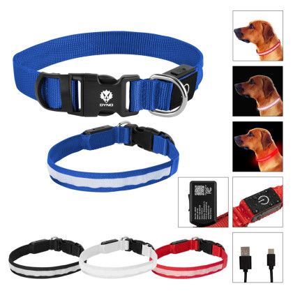 Custom Light Up Rechargeable Pet Collar - Medium - All Color Custom Light Up Rechargeable Pet Collar - Medium - All Color