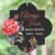 Mourning Gift For The Garden | Roses Memorial Wind Chime Present