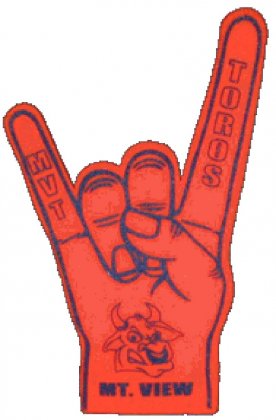 Personalized Hook 'em Foam Hands