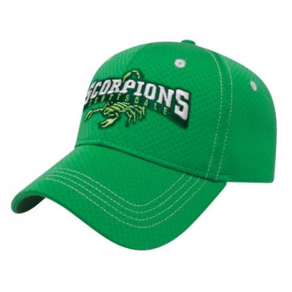 Custom Logo Embroidered Baseball Caps