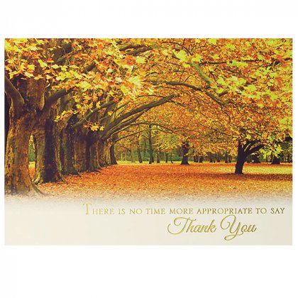 Personalized Thanksgiving Greeting Cards - Autumn in the Park