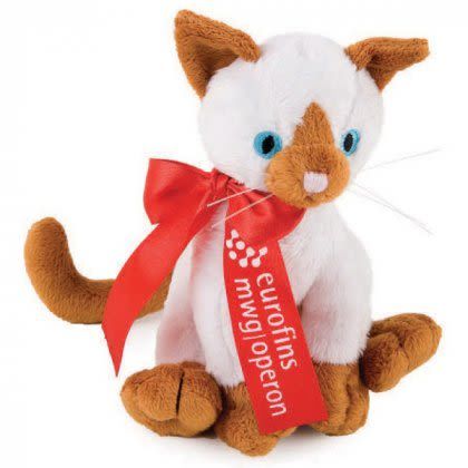 Personalized Cat Stuffed Animal Valentine's Day Gifts