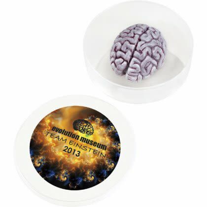 Fun Novelty Giveaway Items for Kids - Splatter Brain in a Dish