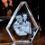 3D Photo Prestige Crystal Engraved Keepsake