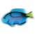 Tropical Blue Tang Fish Chill Patch | Advertising Giveaways for Veterinarians