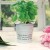 Mini Pail Personalized Basil Herb Kit