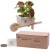 Imprinted Wooden Wheel Barrow Blossom Seed Kit with Coleus