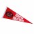 30 Inch Custom Felt Pennants Made in the USA - Best School Promotional Items - Red