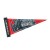 Promotional Full Color Pennants 5 in. x 12 in.