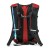 Custom Hiking Backpacks | Custom PEVA Insulated Hydration Packs | Promotional 2 Liter Hydration Packs - Back