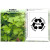 Custom Imprinted Parsley Seed Packets | Promotional Vegetable Seed Packets