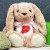 Personalized Peach Plush Bunny With Couples T-Shirt