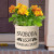 Personalized Autumn Acorn Stoneware Crock