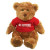 10 inch Traditional Brown Teddy Bear Promotional Custom Imprinted With Logo