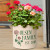 Personalized Geranium Established Stoneware Crock