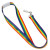 Logo Imprinted Rainbow Lanyard | Custom Event Giveaways 