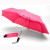 Georgetown Folder Mini Umbrella -Lifetime Warranty