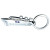 Cruise Ship Key Chain