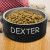 Black Polar Camel Personalized Dog Bowl - 32oz