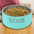 Teal Polar Camel Personalized Dog Bowl - 32oz