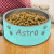 Pawprints Teal Blue Personalized Dog Bowl - 32oz