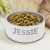 Small White Personalized Pet Bowl - 18oz