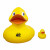 Promotional Jumbo Rubber Duck - compared to traditional duck size