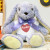 Plush Lilac Bunny With Custom Name Shirt