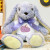 Welcome New Baby Lilac Plush Bunny