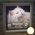 Cat Memorial Photo Personalized Night Light