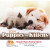 Custom Logo Puppies & Kittens Custom Wall Calendar 