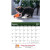 Custom Logo Puppies & Kittens Custom Wall Calendar Open View