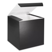 Large Black Cube Box (+$5.95)