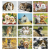 Puppies & Kittens Wall Calendar Months